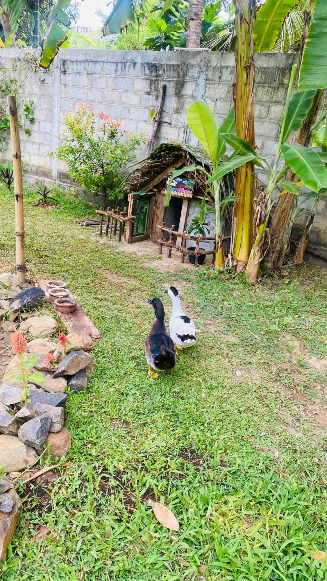 Silence Paradise แทนกาลเล ภายนอก รูปภาพ